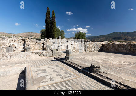 Mosaiken in der römischen Stadt Volubilis, UNESCO-Weltkulturerbe, in der Nähe von Moulay Idris, Meknes, Marokko, Nordafrika, Afrika Stockfoto