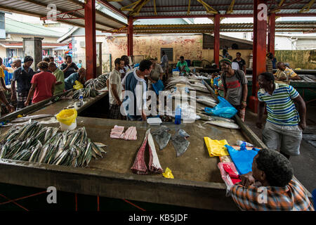 Fisch am Sir Selwyn Selwyn-Clarke Market, Victoria, Mahe, Republik der Seychellen, Indischer Ozean, Afrika Stockfoto