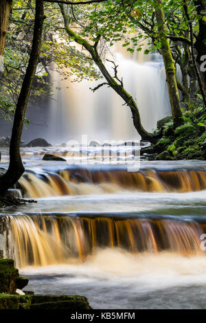 Bowlees, Teesdale, County Durham, UK. 28 Sep, 2017. UK Wetter. Schwere über Nacht geregnet hat einige schöne Regenwald wie Bedingungen in Summerhill Kraft in der Nähe von Bowlees in Teesdale, County Durham, UK erstellt. Quelle: David Forster/Alamy leben Nachrichten Stockfoto