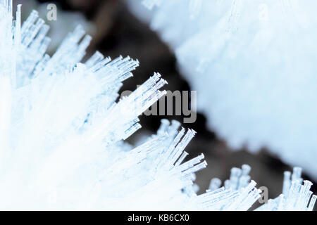 Ice Crystal im Winter Stockfoto
