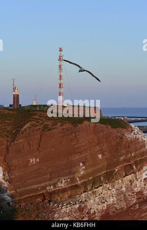 Schmale Silhouette eines Vogel über den roten Felsen Helgoland ist mit dem Leuchtturm und der Sendemast, 2 Mai 2015 | Verwendung weltweit Stockfoto