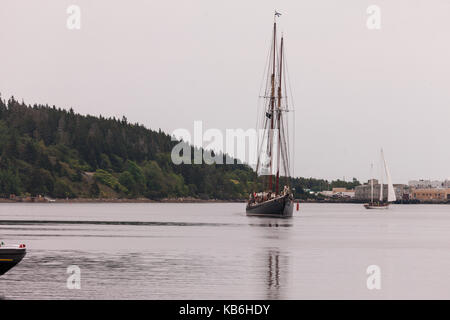 Die Bluenose II trifft in seinen Heimathafen von Lunenburg, Nova Scotia am 30. August 2017. Von Smith und Rhuland es gebaut wurde, das Original zu entsprechen. Stockfoto