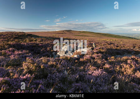 Gipfel Der blorenge Mountain, Brecon Beacons National Park, Wales, Großbritannien Stockfoto