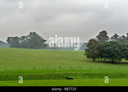 Kirchtürme von Stamford, Lincolnshire in den nebligen Abstand. Stockfoto