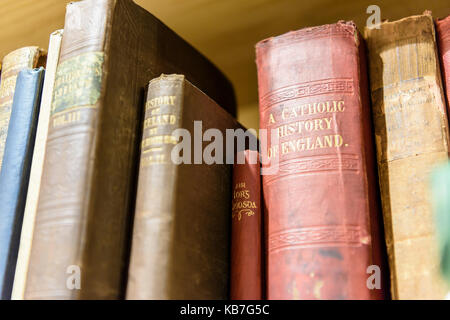 Alte irische Theologie Bücher in einer Bibliothek in der irischen Geschichte spezialisiert. Stockfoto