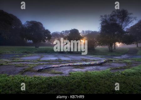 Herbst Dawn bei Ravenhill Park Stockfoto