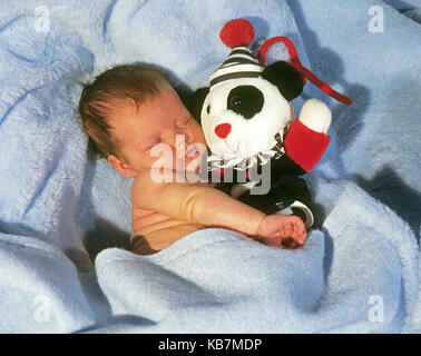 Ein 2 Wochen altes Baby Mädchen hält ihr Spielzeug Pandabär, als sie ein Nickerchen in eine blaue Decke. Stockfoto