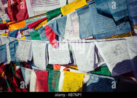 Gebet tibetische Fahnen in der Nähe des Namgyal Tsemo Kloster in Leh, Ladakh Stockfoto