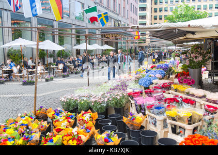 Blume stall und Cafe in Hötorget, Stockholm, Schweden, Skandinavien, Europa Stockfoto