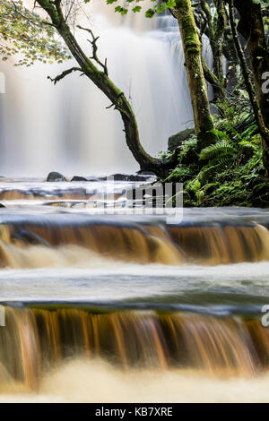 Summerhill Kraft und Bowlee Beck, Bowlees, Obere, Teesdale, County Durham, UK Stockfoto