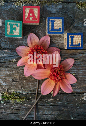 Das Wort fallen mit Holzspielzeug Bausteine auf ein verwittertes Holz- Hintergrund. Stockfoto