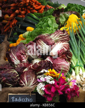 Radicchio und frische Produkte - Bainbridge Island Farmers Market, Bainbridge Island, WA. USA Stockfoto