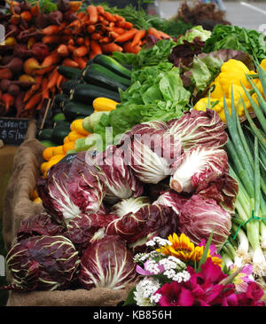 Radicchio und frische Produkte - Bainbridge Island Farmers Market, Bainbridge Island, WA. USA Stockfoto