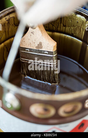 Nahaufnahme von Pinsel eingetaucht in Paint Bucket Stockfoto