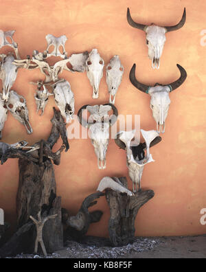 Schädel hing an einer Wand in Mayto, Cabo Corrientes, Jalisco, Mexiko Stockfoto