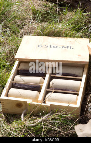 WW 11 Reenactment an der Sieg zeigen, Großbritannien Stockfoto