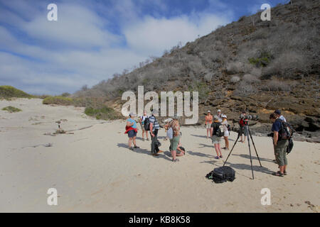 Gruppe der Touristen mit Führung am Strand Punta Cormorant, Floreana, Galapagos Inseln Stockfoto