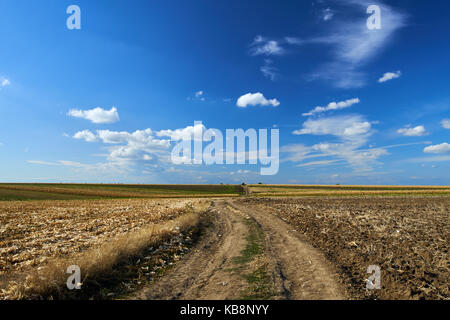 Ländliche Straße durch gepflügten Feldern und Mais unter blauem Himmel mit Wolken Stockfoto