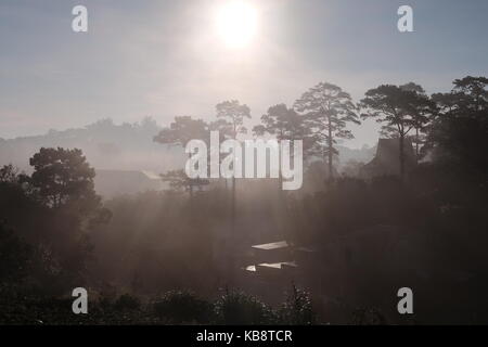 Landschaft der Berge bei Sonnenaufgang in Dalat Vietnam. Stockfoto