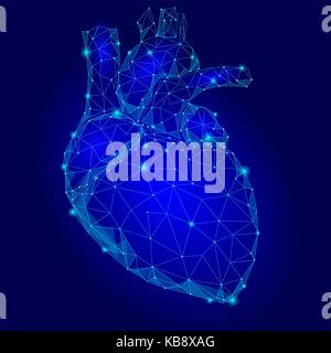 Menschliche Herz internen Organ Dreieck Low Poly. Verbunden Dots blau Farbe Technologie 3D-Modell der Medizin gesunder Körper Teil Vector Illustration Stock Vektor