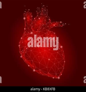 Menschliche Herz internen Organ Dreieck Low Poly. Verbunden dots Rot Technik 3D-Modell der Medizin gesunder Körper Teil Vector Illustration Stock Vektor