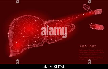 Behandlung regeneration Zerfall der menschlichen Leber internen Organ Dreieck Low Poly. Verbunden dots Rot Technik 3D-Modell der Medizin Kapsel Tablette Droge Vector Illustration Stock Vektor