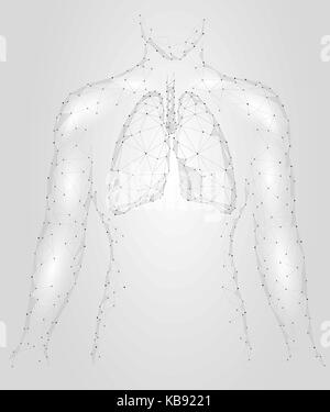 Menschliche Lungen pulmonale Infektion internen Organ. Atemwege im Körper Silhouette. Low Poly 3d angeschlossen Dots Dreieck polygonalen Design. Grau Weiß Farbe Hintergrund Vector Illustration Stock Vektor