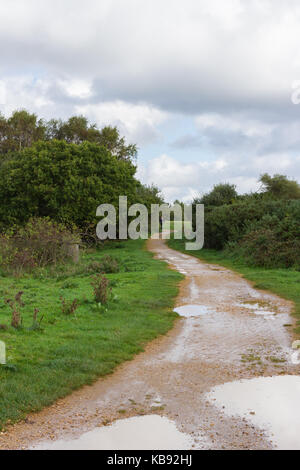 Fußweg durch Turbary gemeinsame lokale Naturschutzgebiet, Dorset, Großbritannien führenden Stockfoto