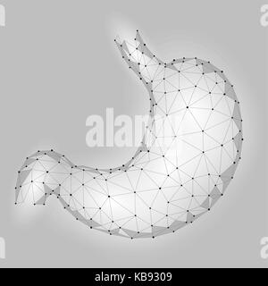 Menschlichen gesunden Magen. Interne Verdauung Orgel. Low Poly verbunden dots Grau weißes Dreieck Zukunft Technik Design Hintergrund vektor Medizin Abbildung: Stock Vektor