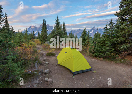 Ein einzelnes Zelt bei Macarib camp site in Jasper auf der Tonquin Trail. Stockfoto