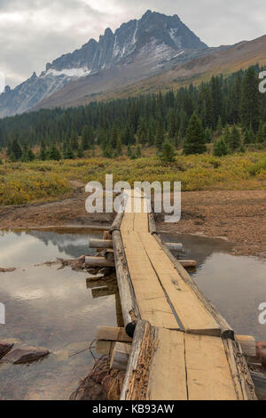 Eine kleine Brücke auf der Tonquin Trail Jasper Alberta Stockfoto