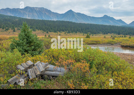 Blick auf die Rockies auf den Tonquin Trail in Jasper Stockfoto