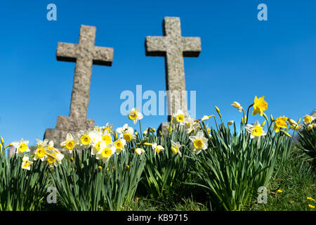 Alte Granit Kreuze in den Kirchhof. erhebend Shot mit blauem Himmel und Frühlingssonne und Narzissen. Platz kopieren Stockfoto