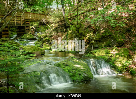 Ruhigen Sommer Szene der Wasserfall bei Dickson fällt, Fundy National Park, New Brunswick, Kanada Stockfoto