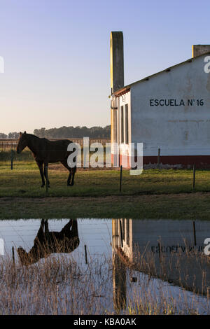 Ein Pferd vor einer ländlichen Schule. Las Flores, Argentinien. Stockfoto