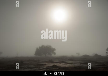 Weißer Regenbogen aus der Wassertropfen der Morgennebel, Dead Vlei, Sossusvlei, Namibia Stockfoto