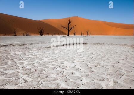 Kontrastreichen Landschaft, Dead Vlei, Sossusvlei, Namibia Stockfoto