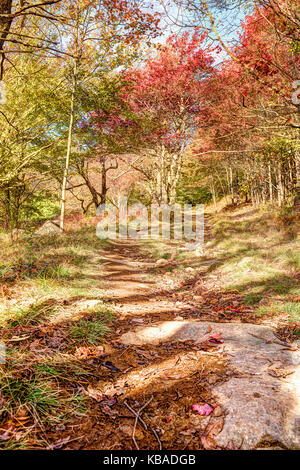 Trail Pfad im Herbst Wald auf einem Hügel in Dolly Grassoden, West Virginia Stockfoto