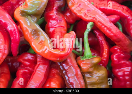 Mezilla Paprika - Nahaufnahme Stockfoto