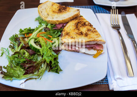 Norfolk Virginia, Chrysler Museum of Art, Wisteria, Restaurant Restaurants Essen Essen Essen Café Cafés, Essen, Sandwich, Salat, Mittagessen, VA170521004 Stockfoto