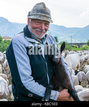 Hirte und Schafherde mit kleiner Ziege in naturgrüner Wiese Stockfoto