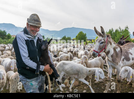 Hirte und Schafherde und Esel auf der grünen Wiese der Natur Stockfoto