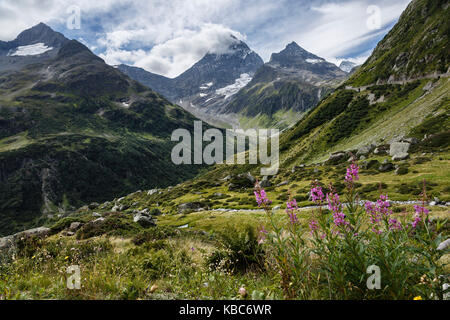 Sustenpass, Schweiz Stockfoto