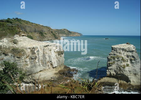 Muriwai Beach, Auckland, Neuseeland Stockfoto