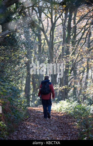 Nov 2016 EXMOOR - Gehen in die Tiefe - mit Mark Rowe-Pix von Steve Morgan Stockfoto