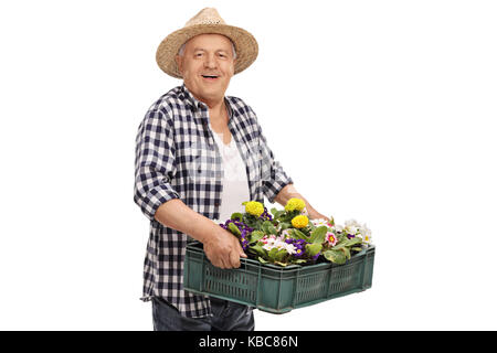 Reifen Gärtner Holding eine Kiste mit Blumen auf weißem Hintergrund gefüllt Stockfoto