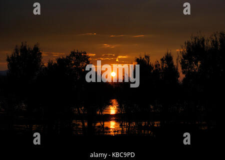 Orange Sonne auf dem Wasser spiegelt, während sich hinter dunklen schwarze Silhouette fluss bäume in den frühen Morgenhimmel. Stockfoto