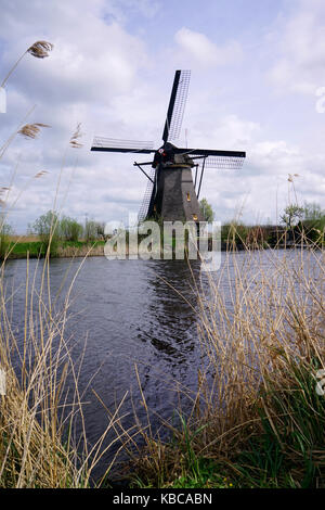 Holländische windmühle am Nachmittag bauen und Neben polder Wasser in kinderdijk South Holland verwendet Wasser ablassen durch den Einsatz von Windkraft und k Stockfoto