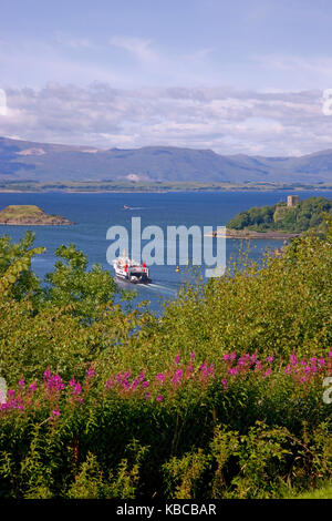 MV Hebridean Isles fährt die Bucht von Oban, Argyll Stockfoto