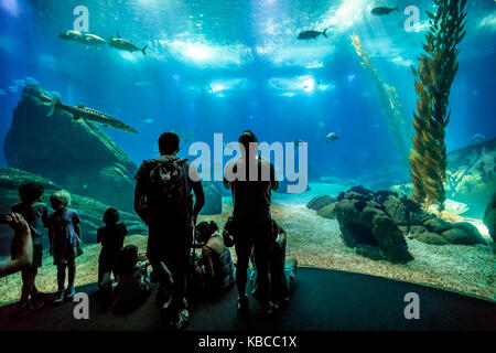 Familie in Lissabon Oceanarium Stockfoto